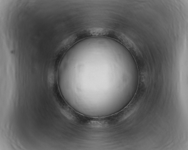 X0000116650690200912141256