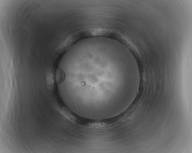 X0000116650691200912141256