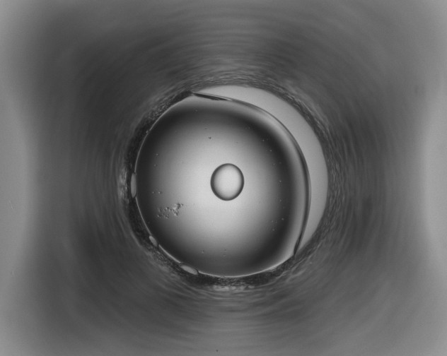 X0000116650693200912141256