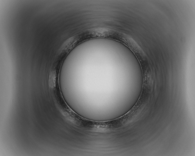 X0000116650694200912141256