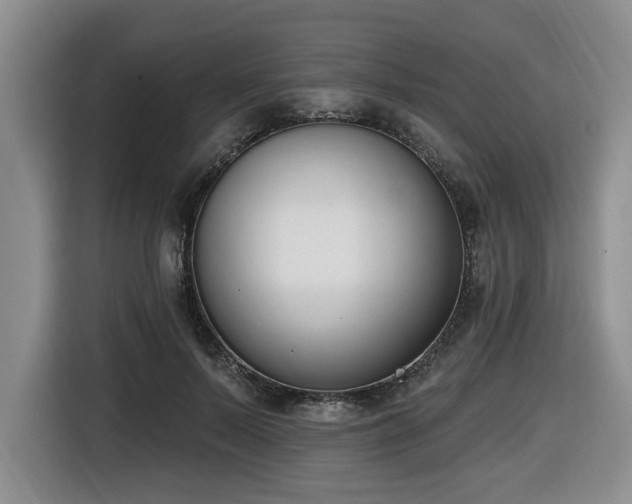 X0000116650695200912141256