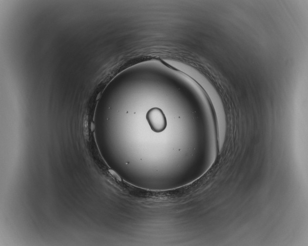 X0000116650696200912141256