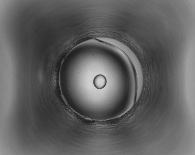 X0000116650697200912141255