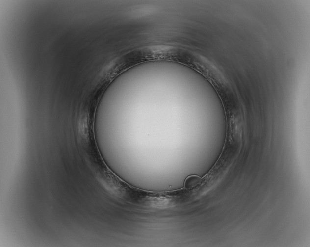 X0000116650698200912141255