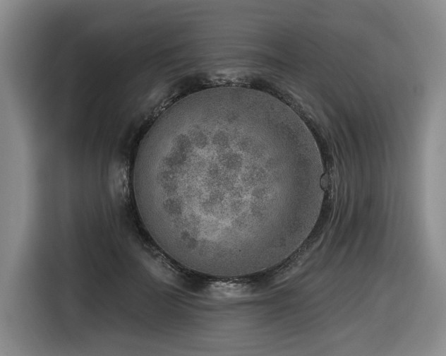 X0000116650699200912141255