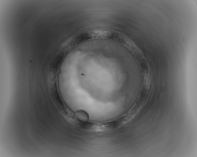 X0000116650701200912141255