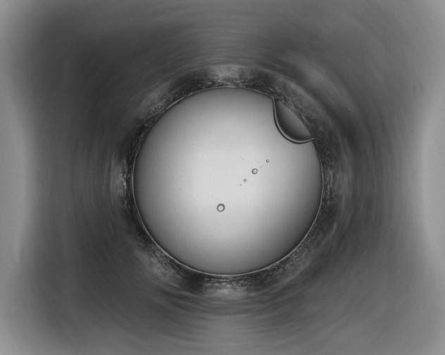 X0000116650702200912141255