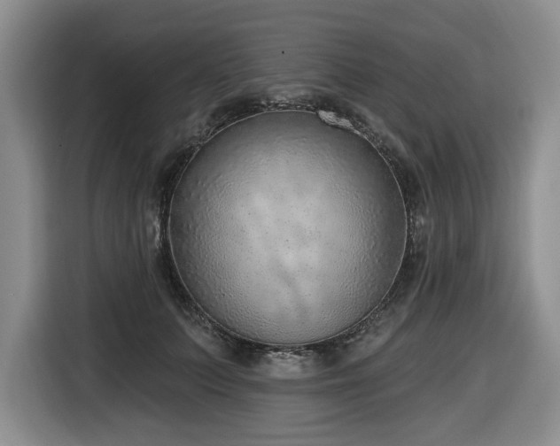 X0000116650703200912141255