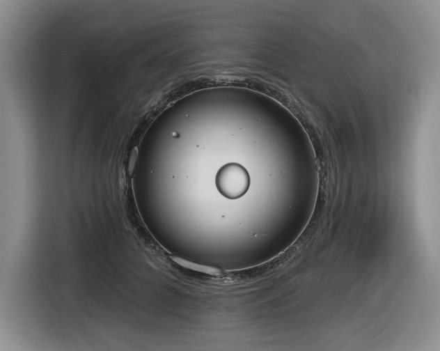 X0000116650704200912141255