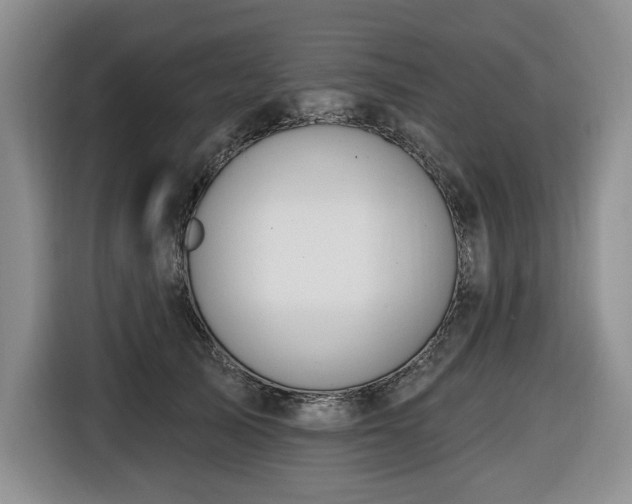 X0000116650705200912141255