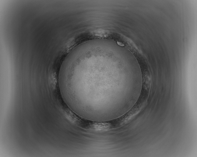 X0000116650707200912141255