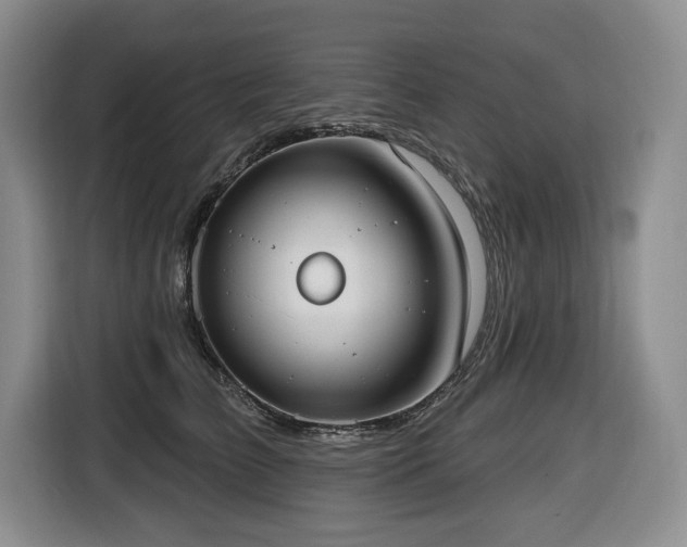 X0000116650709200912141255