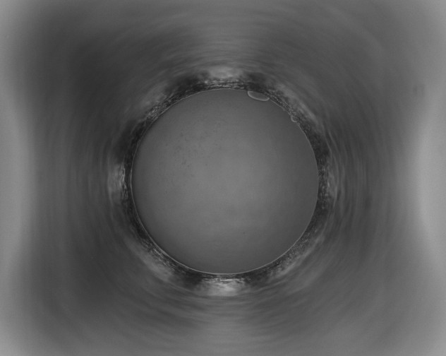 X0000116650711200912141255