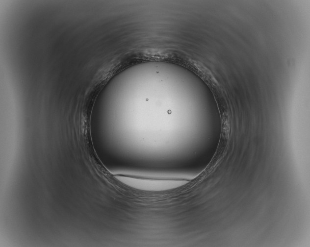 X0000116650713200912141255