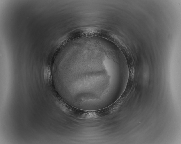 X0000116650715200912141255