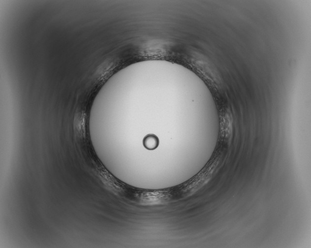 X0000116650717200912141255