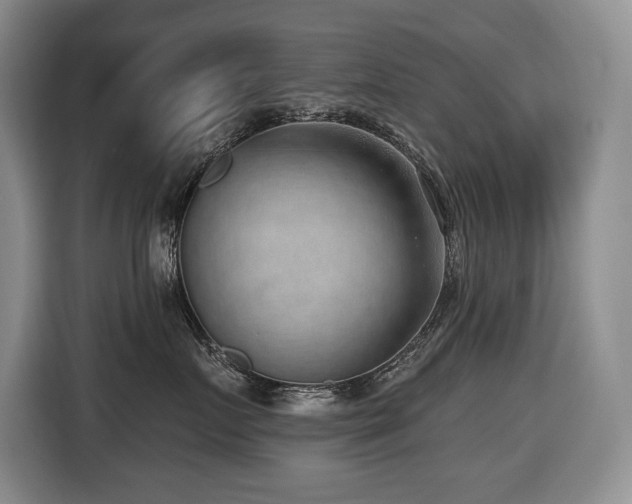 X0000116650719200912141255