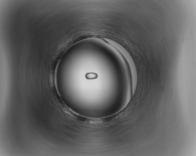 X0000116650720200912141255