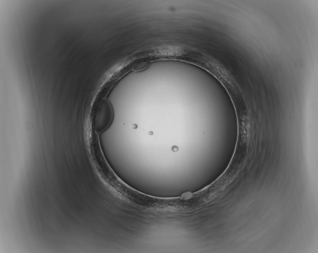 X0000116650726200912141255