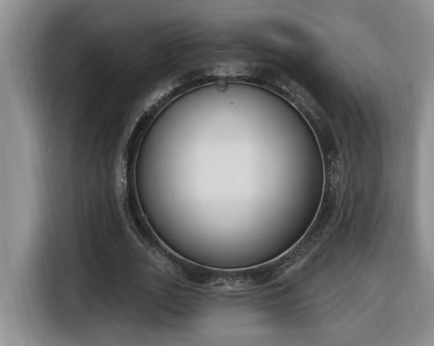 X0000116650727200912141255