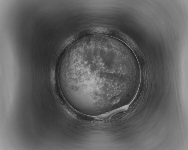 X0000116650729200912141255