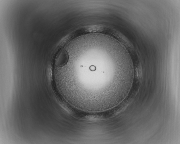 X0000116650733200912141255