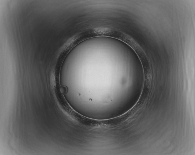 X0000116650734200912141255