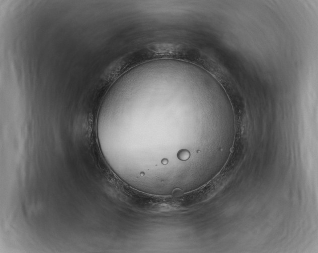 X0000116650737200912141255