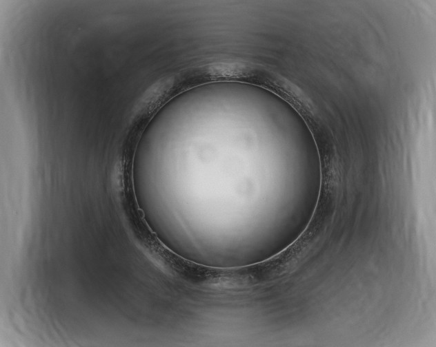 X0000116650738200912141255