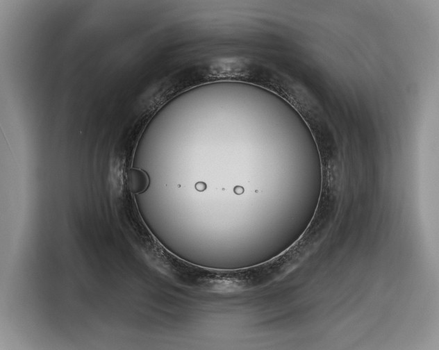 X0000116650741200912141255