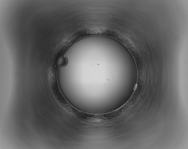 X0000116650743200912141255