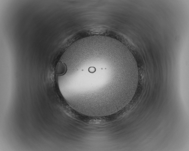 X0000116650745200912141255