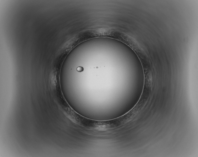 X0000116650746200912141255