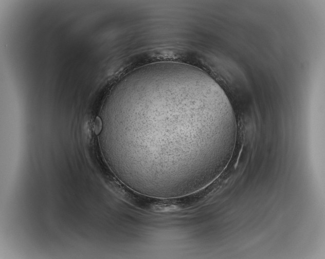 X0000116650747200912141255