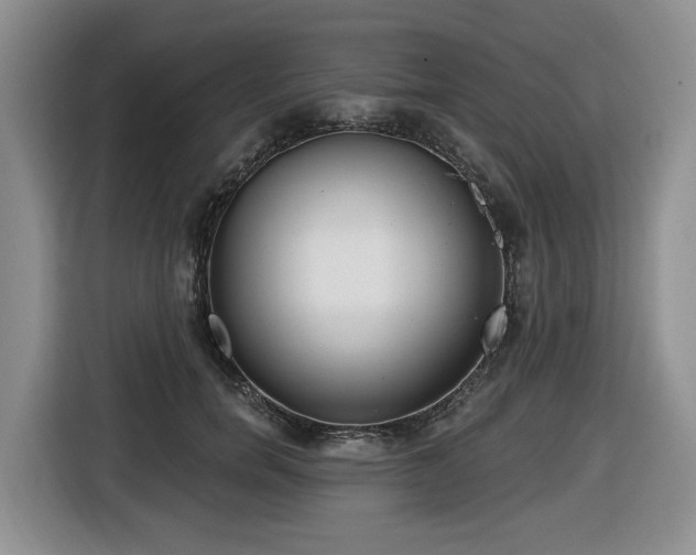 X0000116650750200912141255