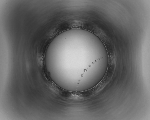 X0000116650753200912141255