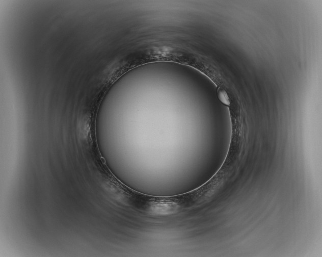 X0000116650754200912141255