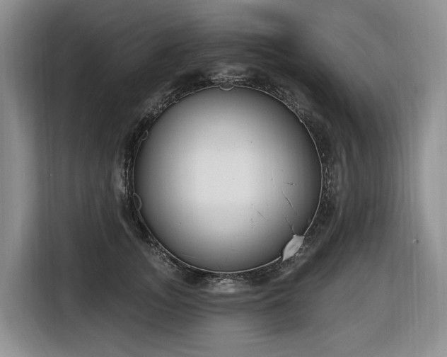 X0000116650755200912141255