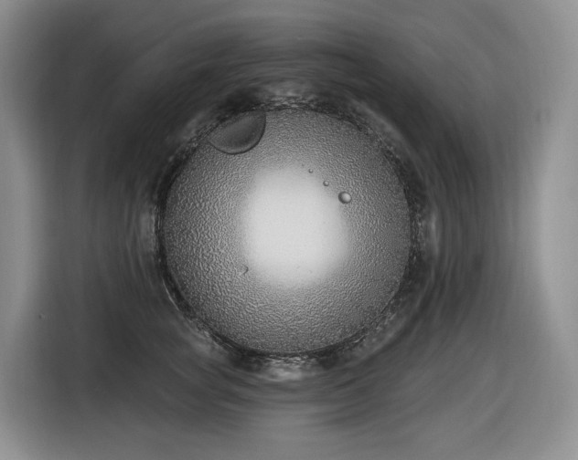 X0000116650757200912141255