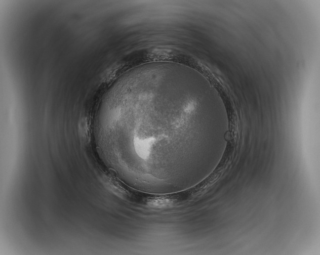 X0000116650759200912141255