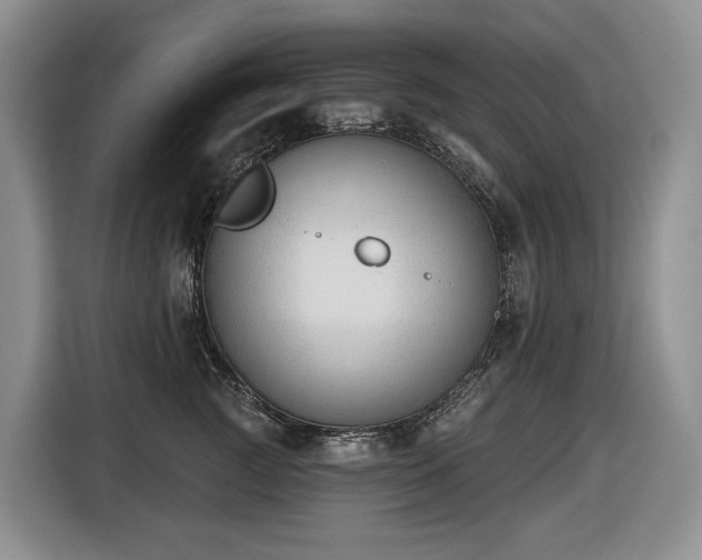 X0000116650761200912141255