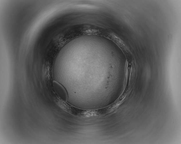 X0000116650762200912141255