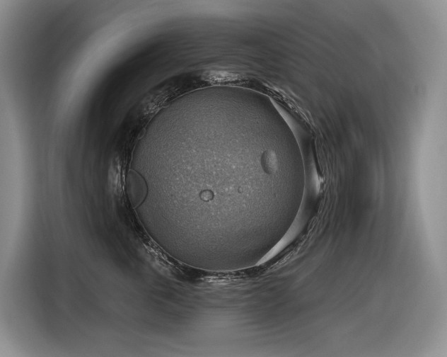 X0000116650763200912141255