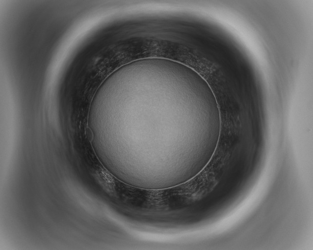 X0000116650766200912141255