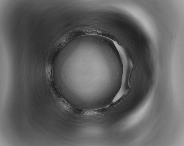 X0000116650767200912141255
