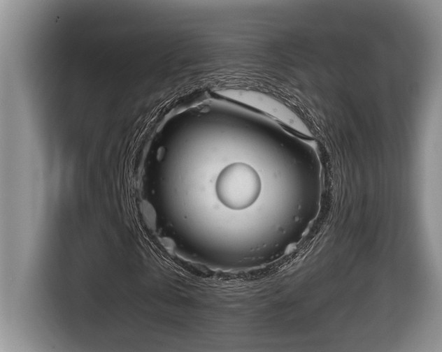 X0000116650769200912141255