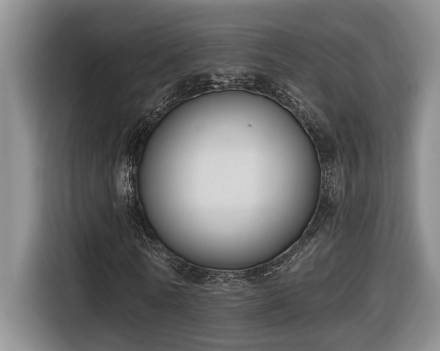 X0000116650770200912141255