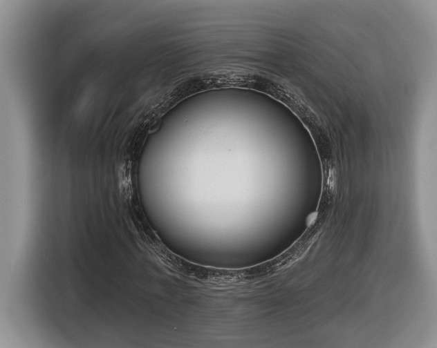 X0000116650771200912141255