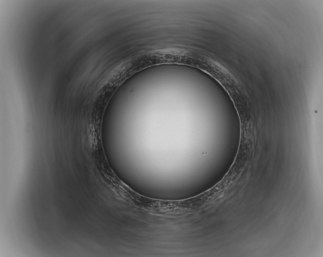 X0000116650774200912141254