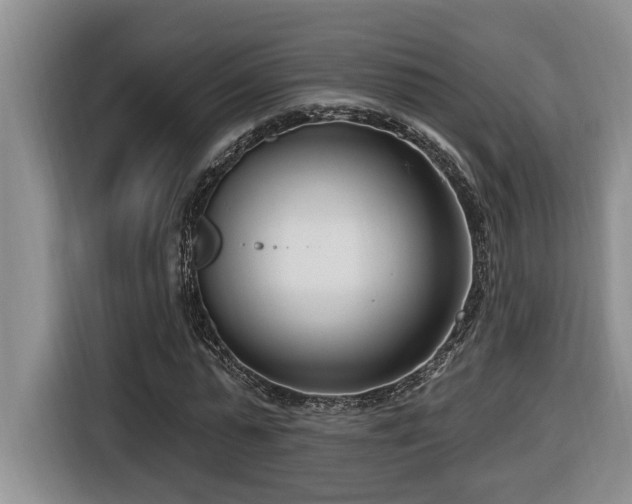 X0000116650775200912141254
